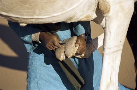 fred bourcier photographe reportage desert libye 22