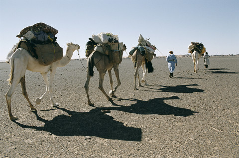 fred bourcier photographe reportage desert libye 23