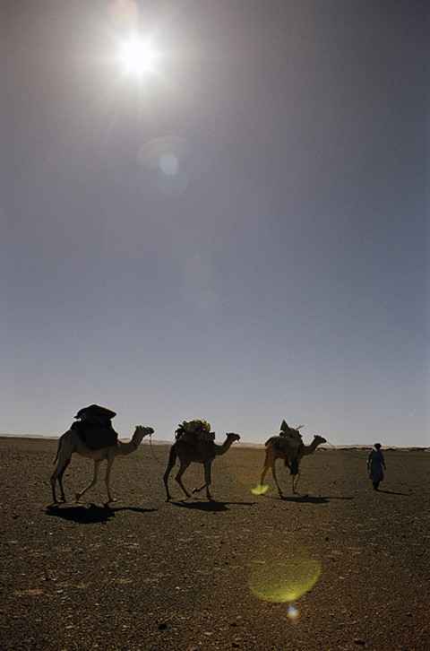 fred bourcier photographe reportage desert libye 24