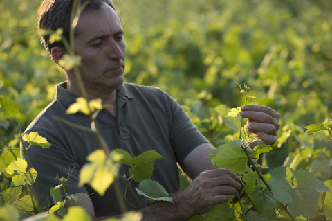 portrait viticulteur champagne Legret photo fred bourcier