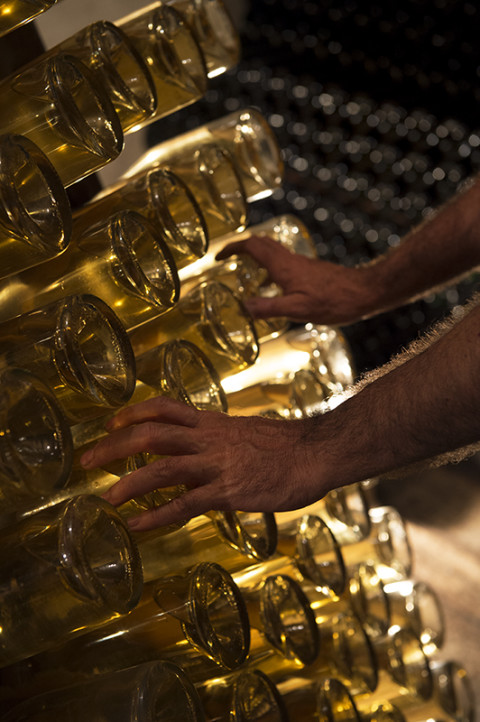 reportage photo dans les caves champagnes Legret par fred bourcier photographe